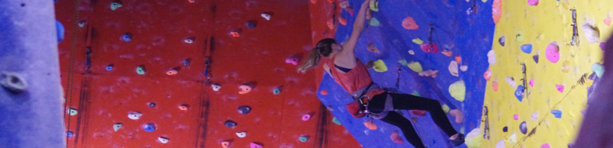 A person with a harness rock climbing a colourful wall.