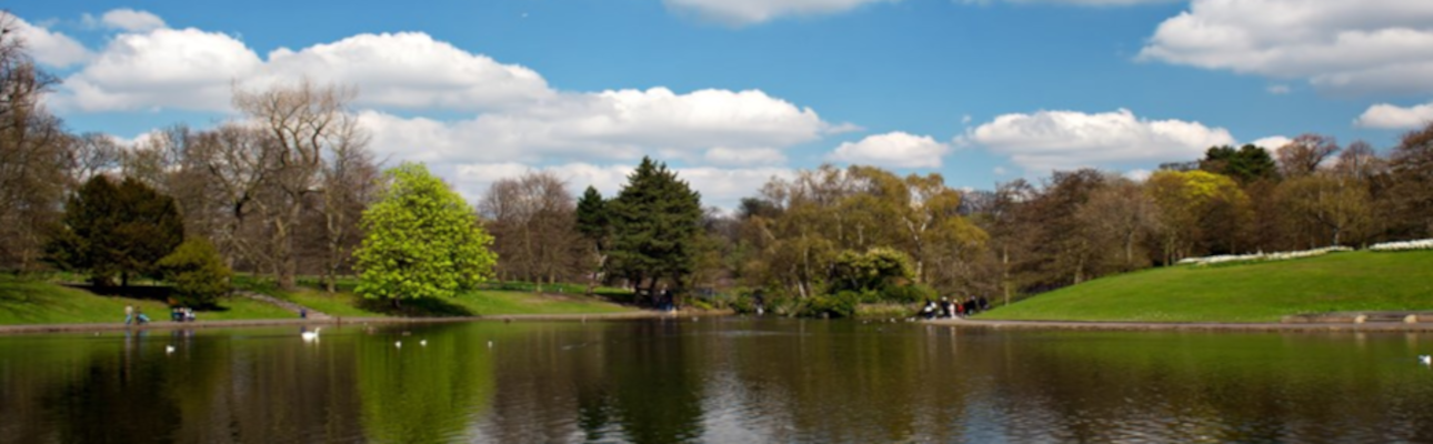 A large lake with lots of trees surrounding it. There is a blue sky with clouds.