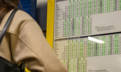 A passenger looking at timetable information at a station. 