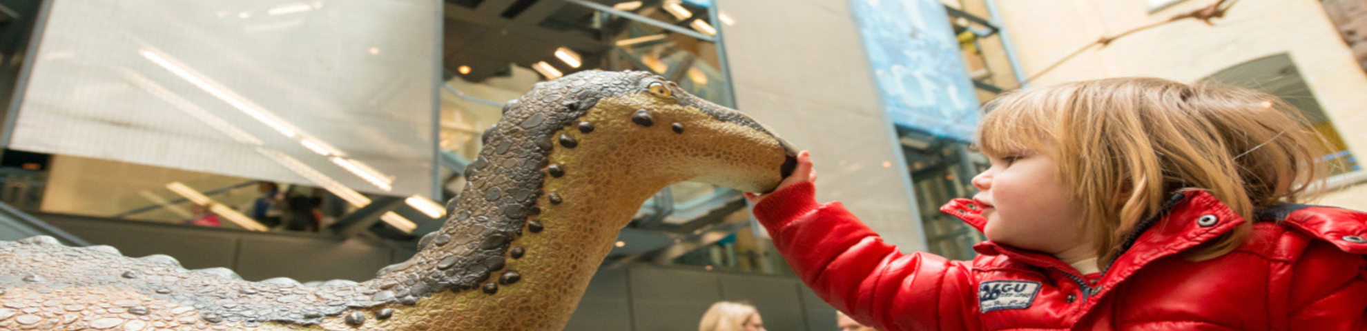 A small child touching a dinosaur display in the museum. 